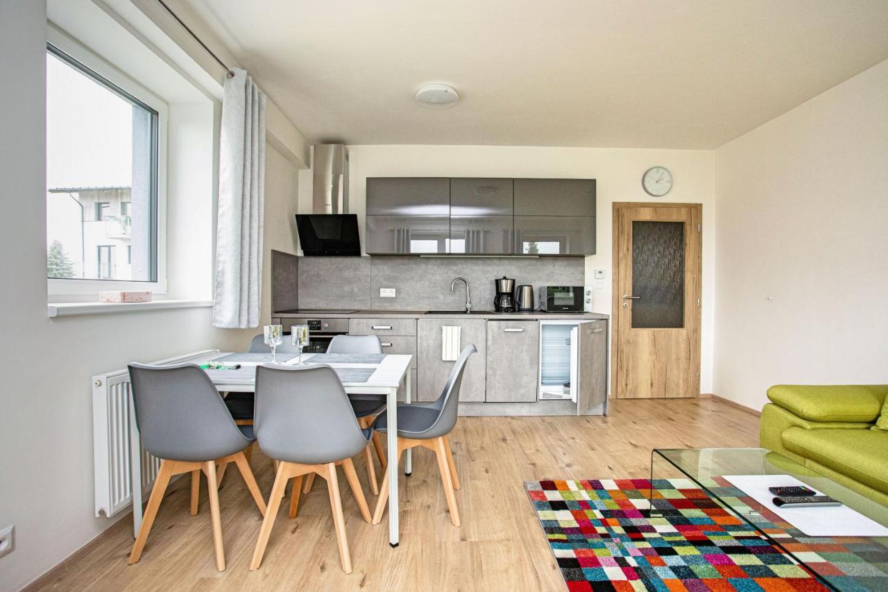 Green Apartment Klinovec By Mountain Ways Loučná pod Klínovcem Exteriér fotografie