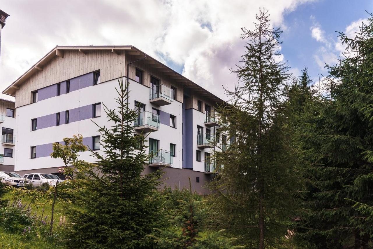 Green Apartment Klinovec By Mountain Ways Loučná pod Klínovcem Exteriér fotografie