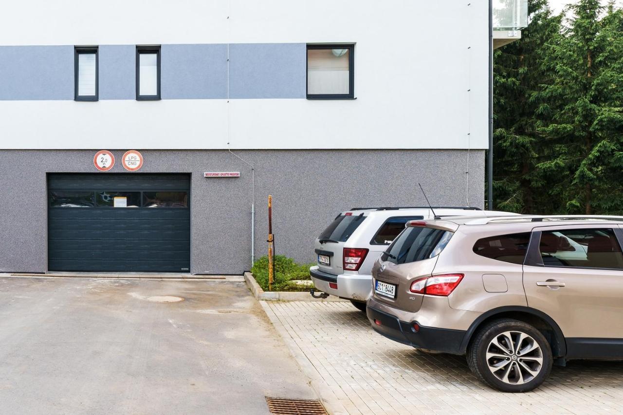 Green Apartment Klinovec By Mountain Ways Loučná pod Klínovcem Exteriér fotografie