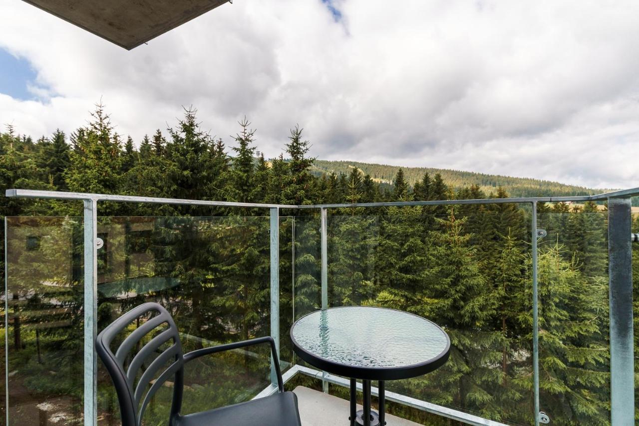 Green Apartment Klinovec By Mountain Ways Loučná pod Klínovcem Exteriér fotografie